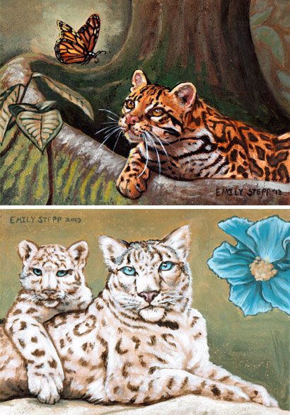 Wildcat postcards emily stepp